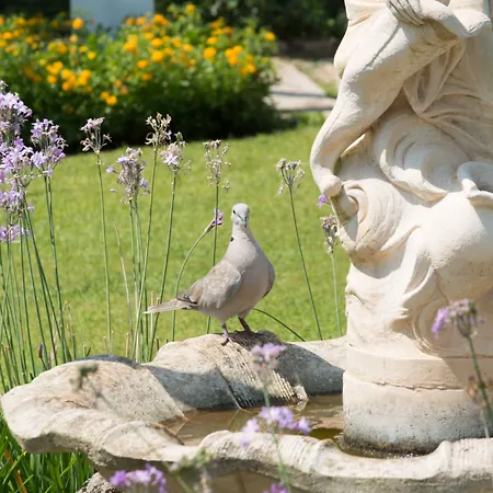 Hotel Le Gemelle Boutique